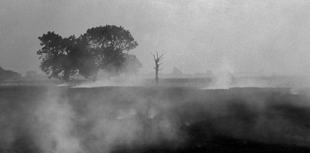 Click for original image 34k 750x371